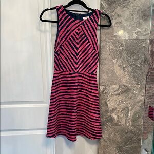 Pink and Navy Striped Sleeveless Dress